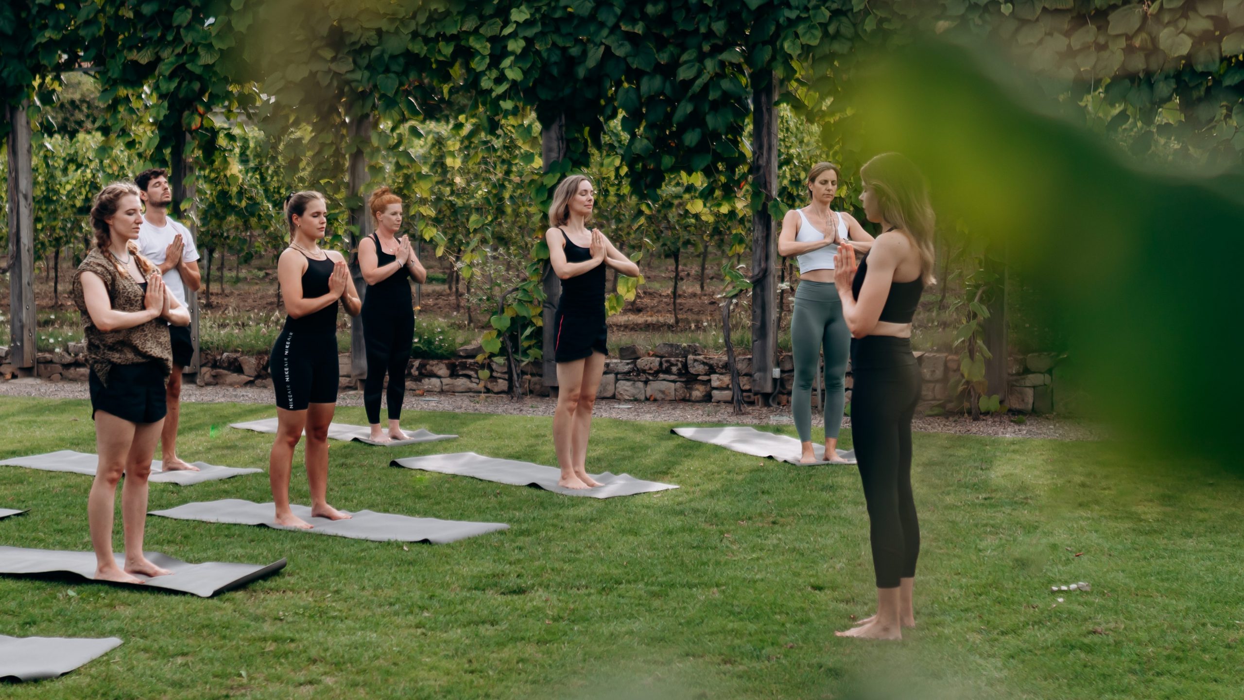 WineYoga <br>So. 31.05.2026 <br>Beginn 18:00 Uhr